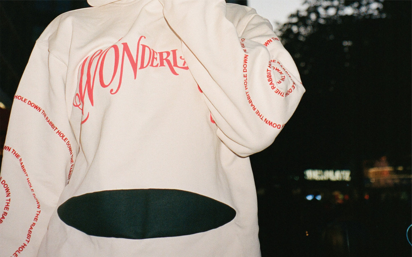 SWEAT À CAPUCHE W0NDERLAND