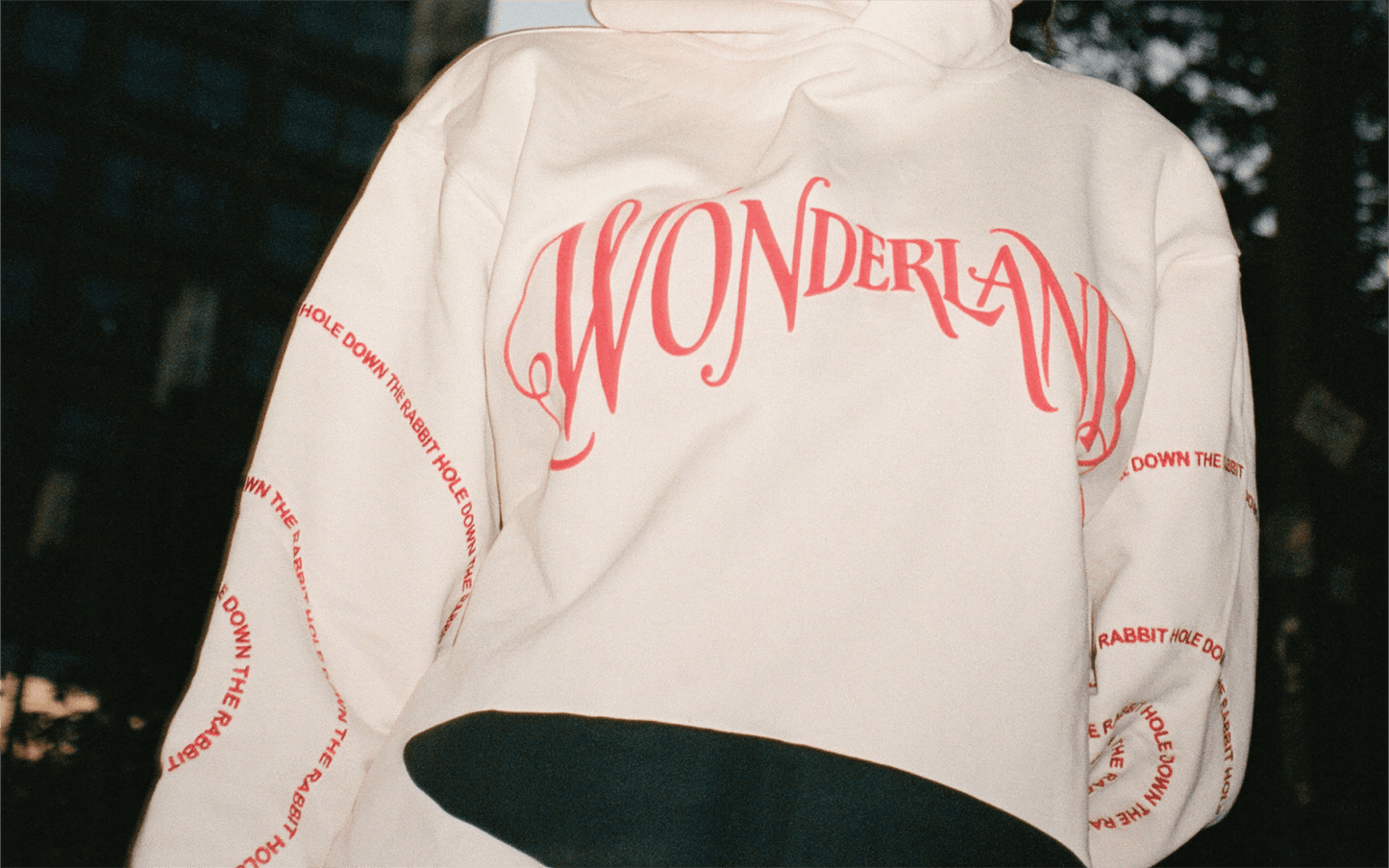 SWEAT À CAPUCHE W0NDERLAND